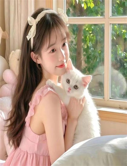 发现《阿呆不修仙》：未被注意的细节与意义